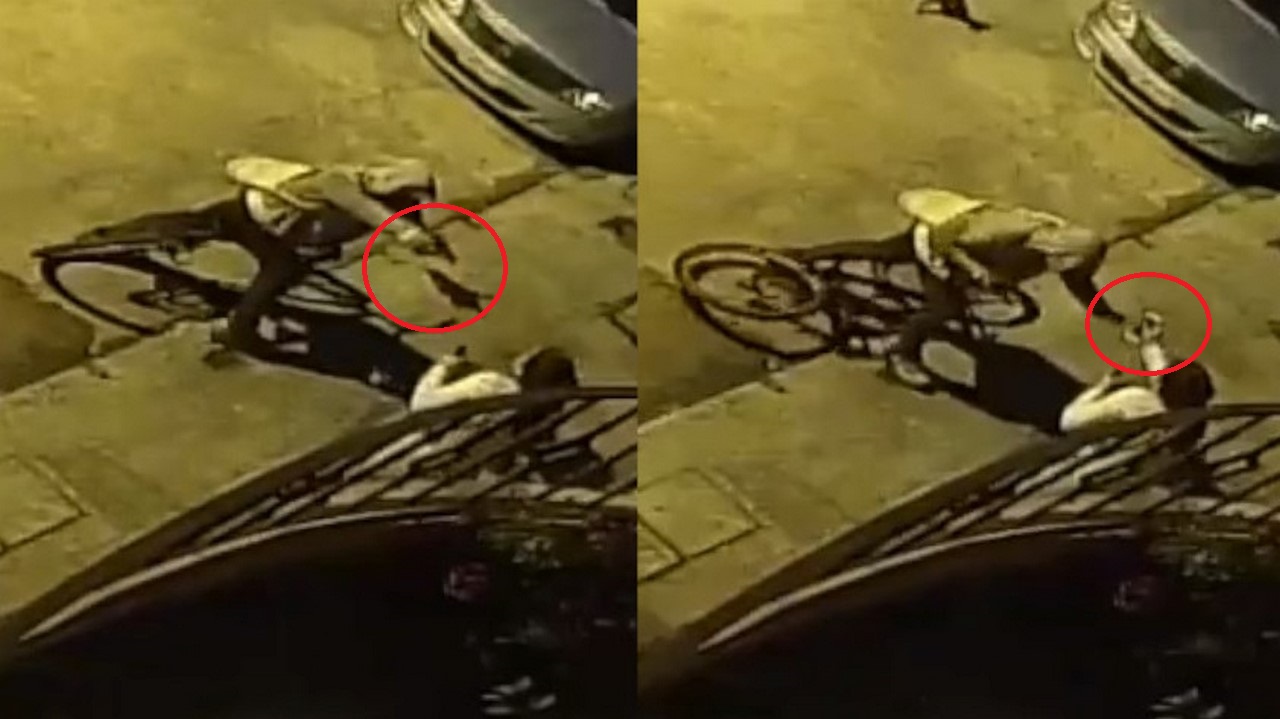 Denuncian 'rata' en 'cicla' en El Carmen de Viboral