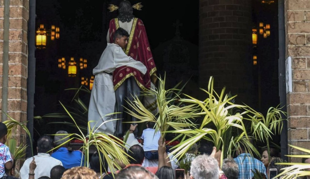 Usar palma de cera para las procesiones en semana santa es un ¡Pecado Ambiental! 2 semana santa