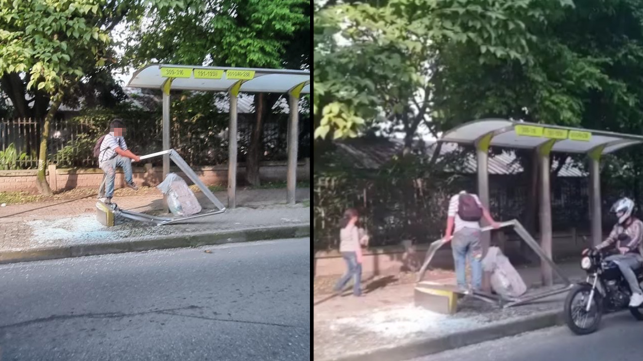 ¡Tan atrevido! Vieron a un sujeto dañando un paradero por la Calle Colombia