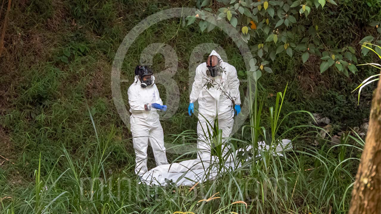 San Cristóbal-muerto