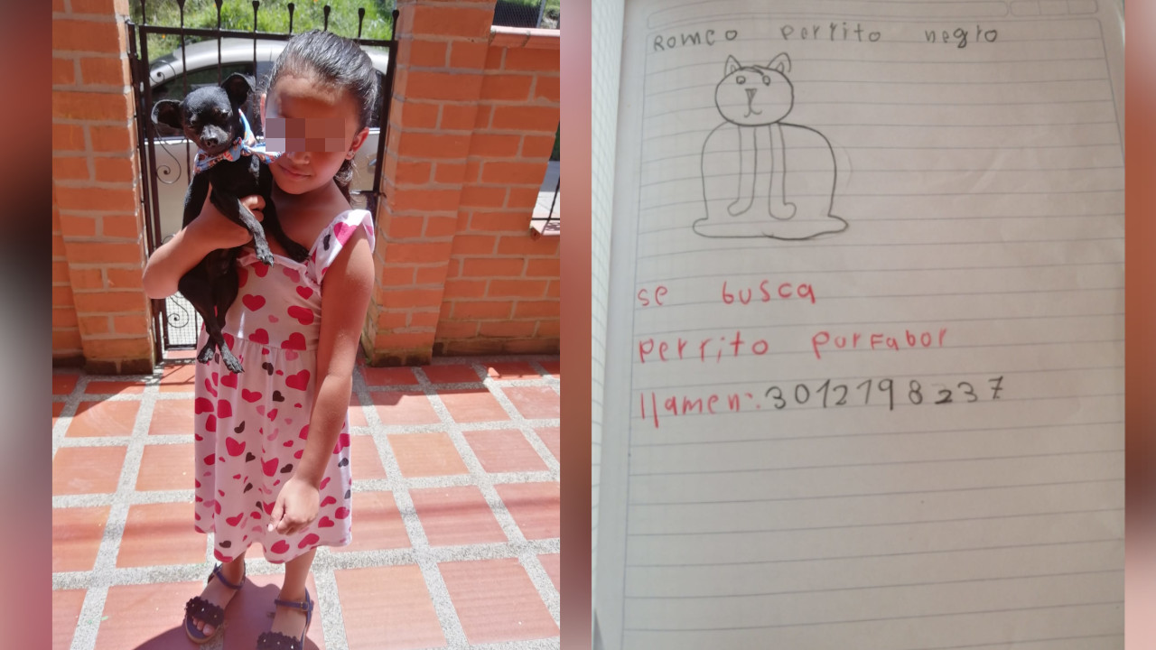 Apareció 'Romeo', el perrito que la niña buscaba con dibujos en La Ceja, Antioquia