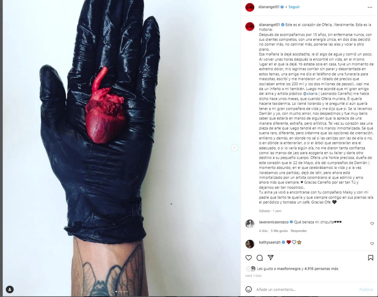 "Este es el corazón de Ofelia, literalmente": Murió la perrita de la actriz Diana Ángel 4 Un cura habria celebrado la misa en evidente estado de embriaguez 1