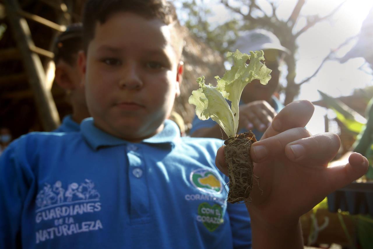 ¡Escuela hecha de residuos! El primer colegio sustentable de Colombia está en San Jerónimo 2 colegio san jeronimo3