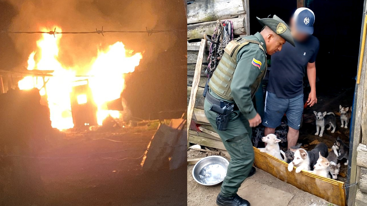 ¡Muy doloroso! Así quedó el criadero en el que murieron 18 perritos calcinados en Rionegro