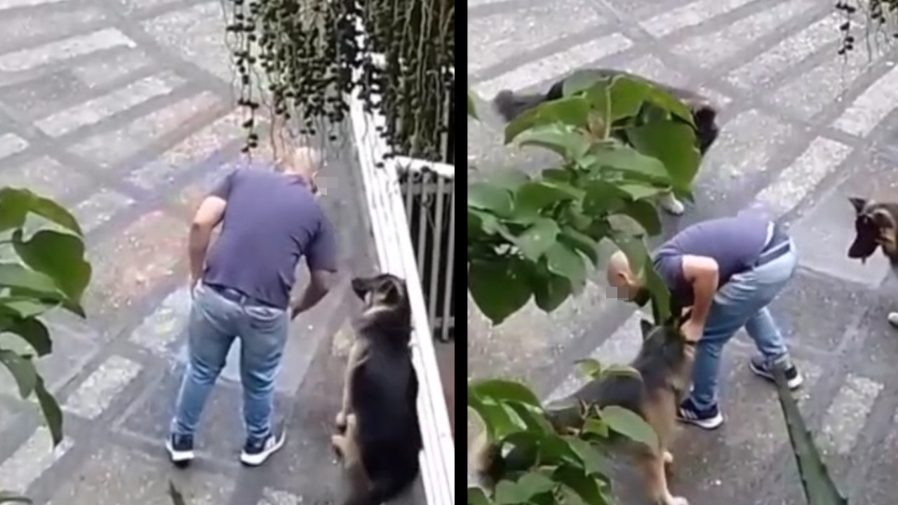 Graban a un desgraciado golpeando y tratando a mal a unos perritos en Belén
