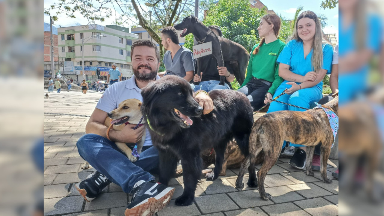 80 'peluditos' en Bello buscan una familia que los adopte y les brinde mucho amor