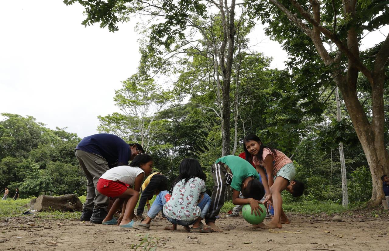 La lucha por la tierra, el conflicto perpetuo de Colombia 3 tierra indigenas1