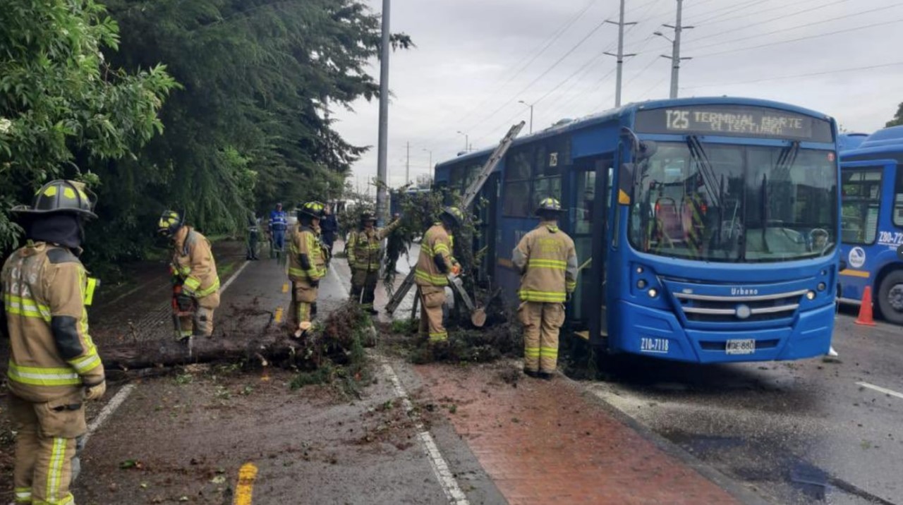 VIDEO. Tremendo hueco, colapsó parte de una vía en Bogotá 2 Bogota calle huevo arbol SITP