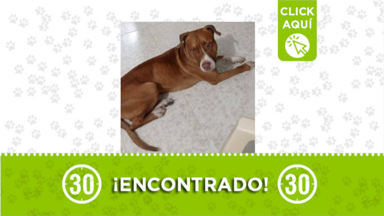 Manrique Las Esmeraldas