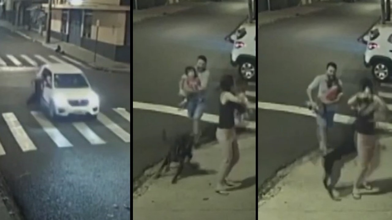 Perro salto de un carro en movimiento y ataco a una mujer