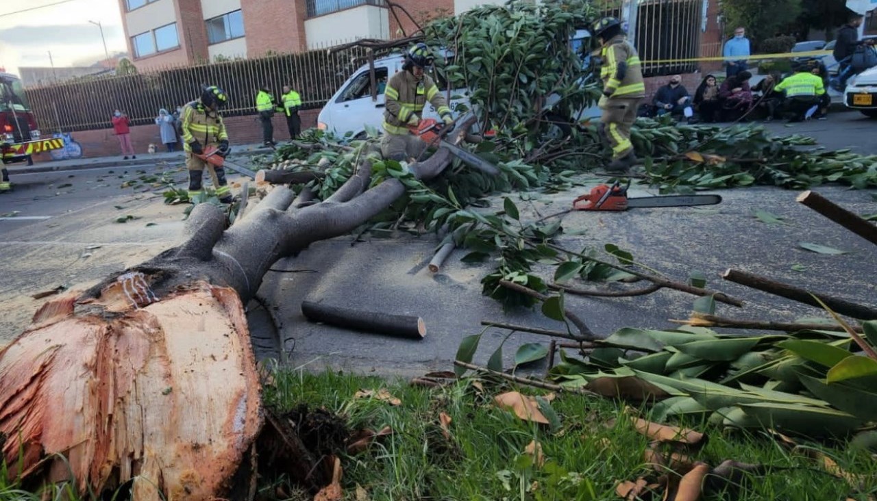 arbol cayo sobre un vehiculo de ruta escolar 2 1