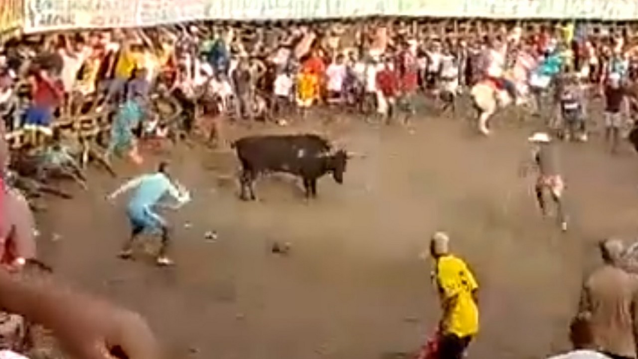 Un muerto y 13 heridos dejan las corralejas en Repelón