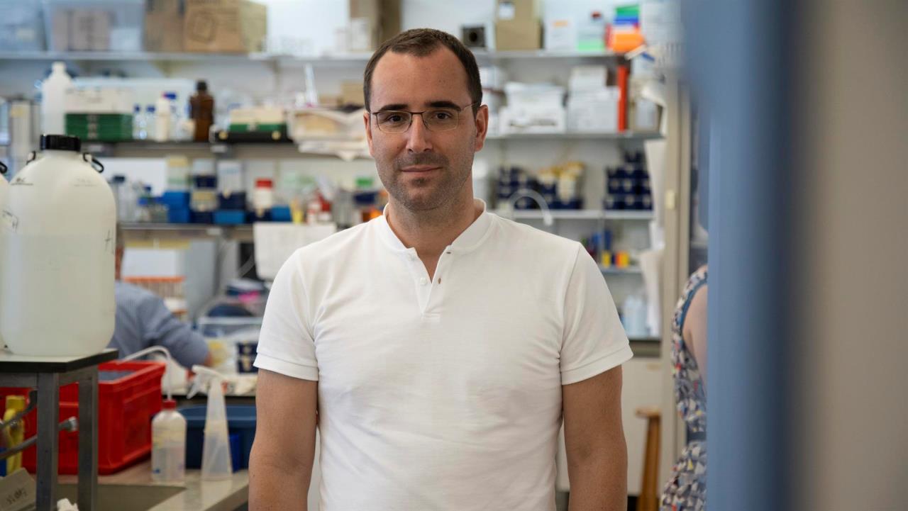 Un compuesto modificado de un árbol como posible terapia de la leucemia 2 leucemia1