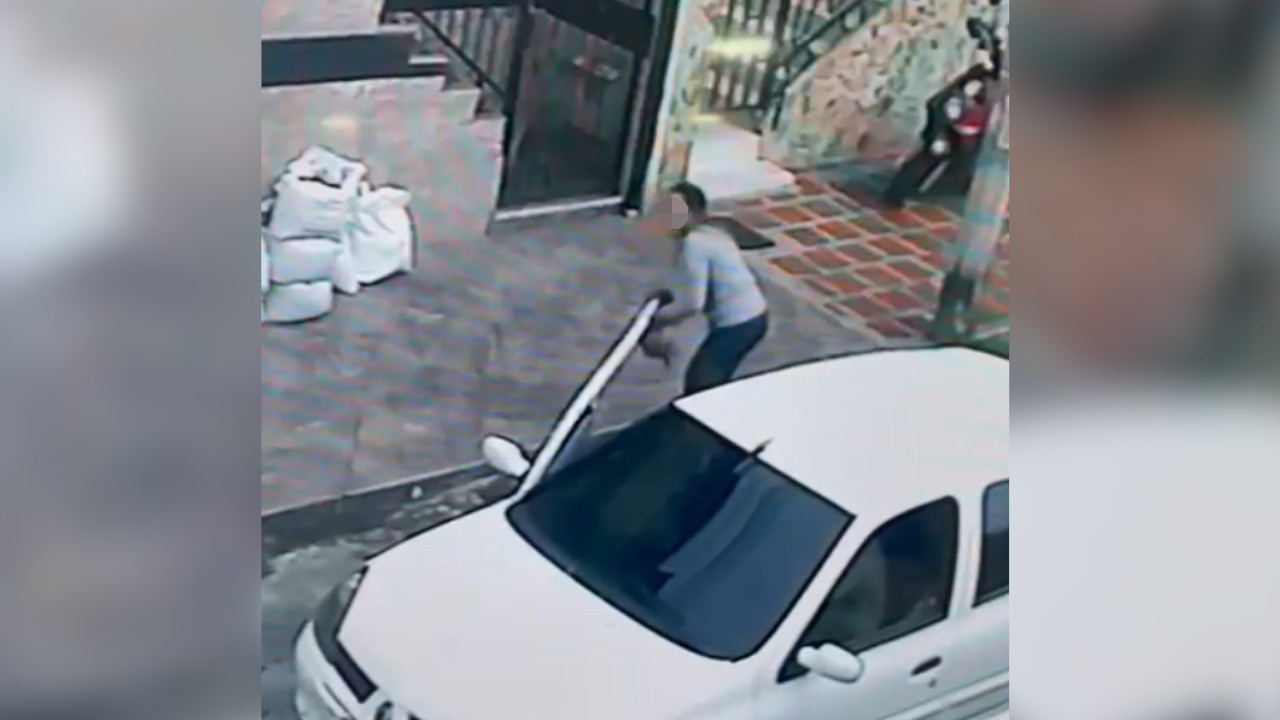 [Video] Una mujer quedó grabada cuando se llevó a una perrita en Buenos Aires