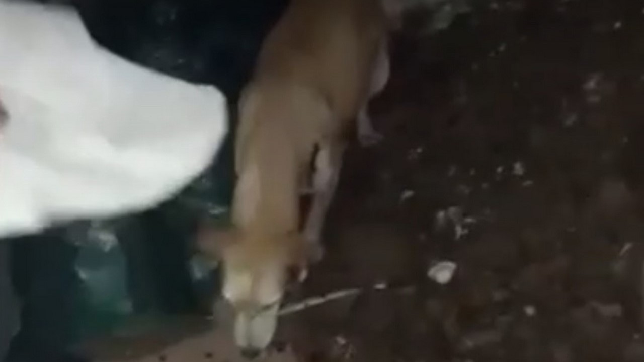 Atacan subestación de Policía en zona rural de Jamundí