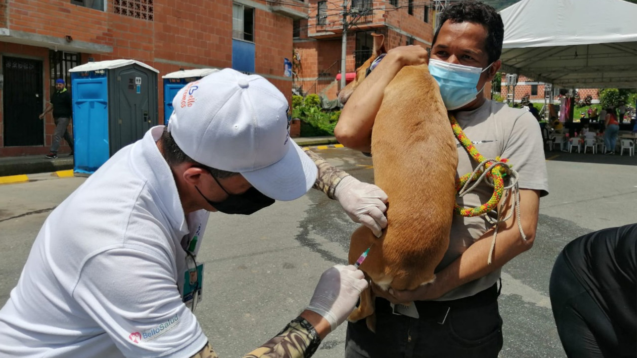 ¡Cuidado con las mascotas! En Bello personas no autorizadas llegan dizque vacunando y cobran