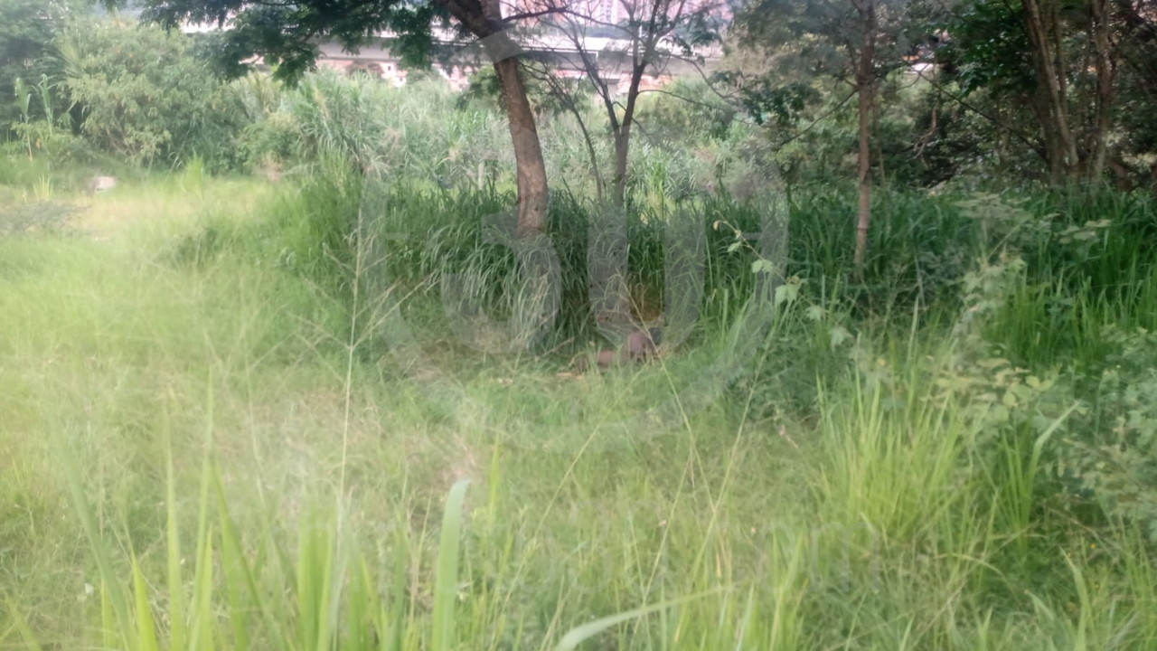 hombre encontrado zona verde Bello 2