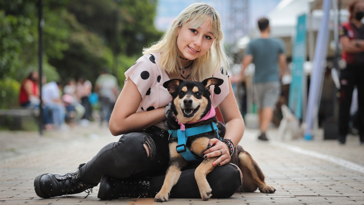 ¡No compres! En Medellín más de 300 animales tienen un hogar gracias a las jornadas de adopción
