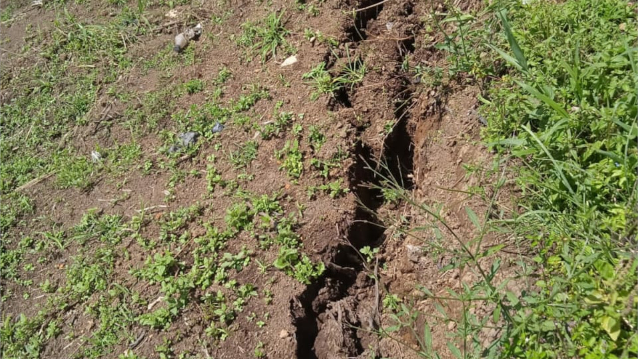 Agrietamientos en Betulia