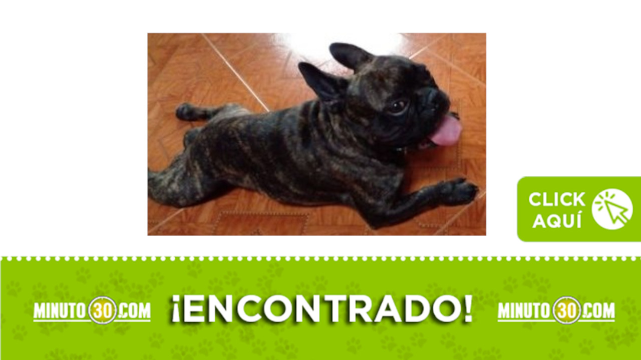 Encontrado en Floresta