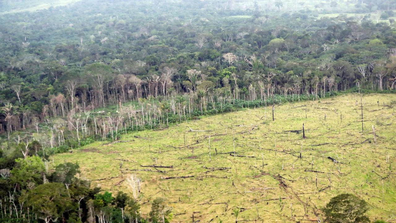 deforestacion amazonas colombia