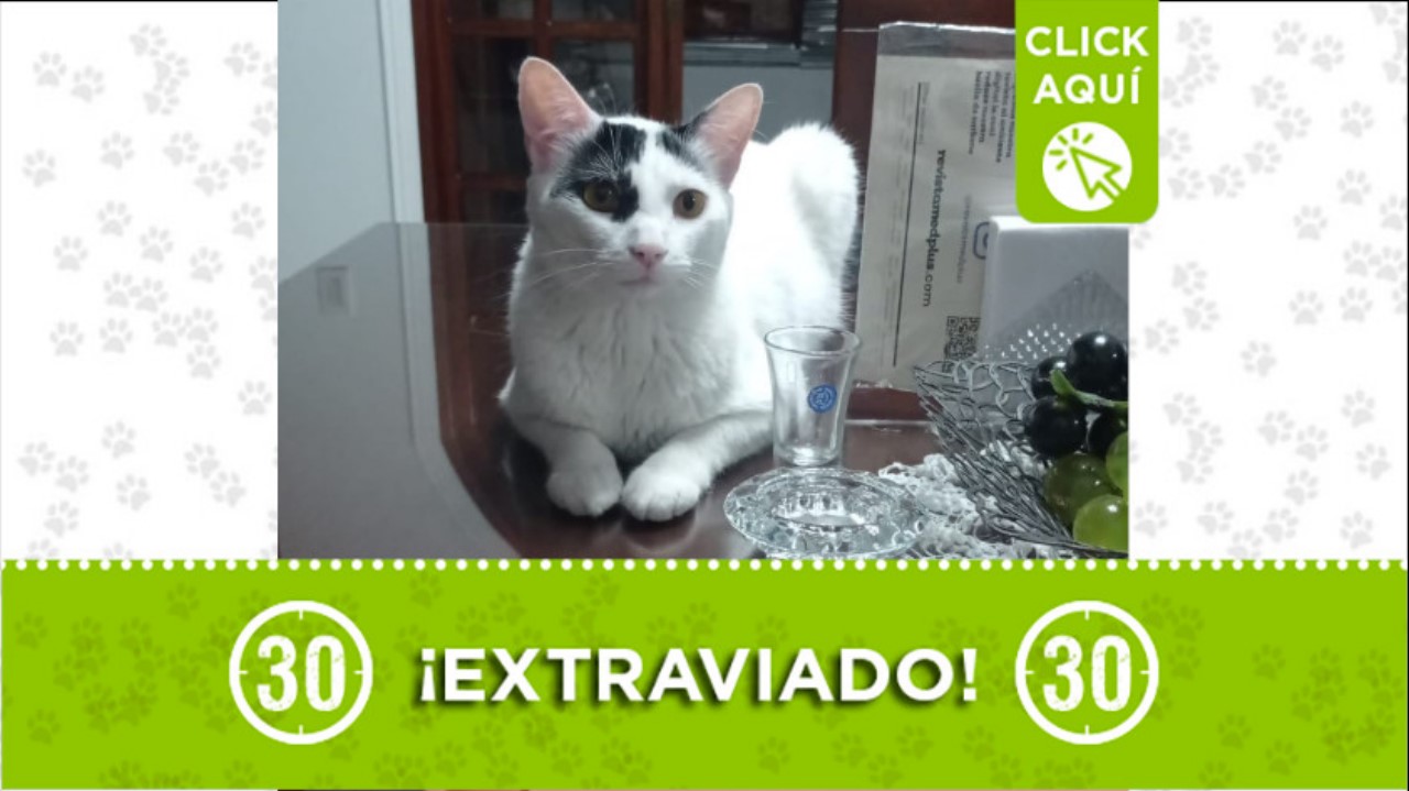 “Orión” se perdió en barrio Girardota