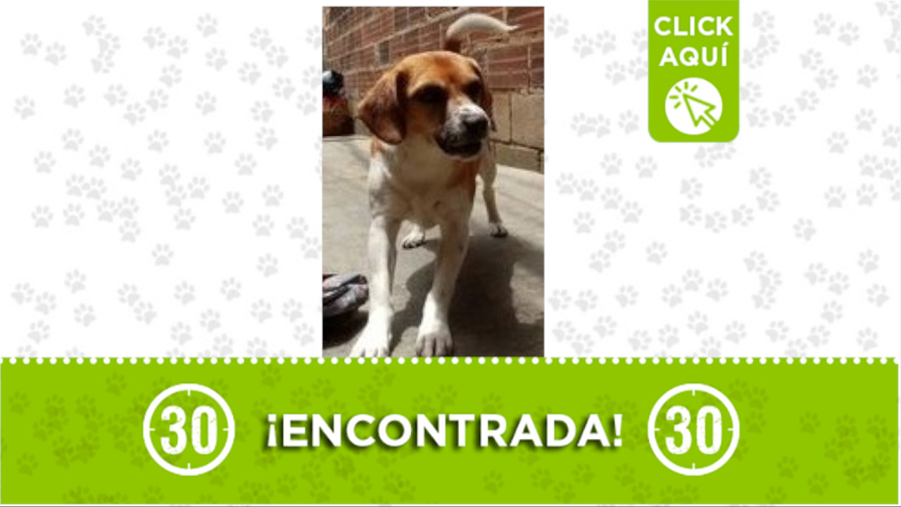 perrita Juan Pablo II