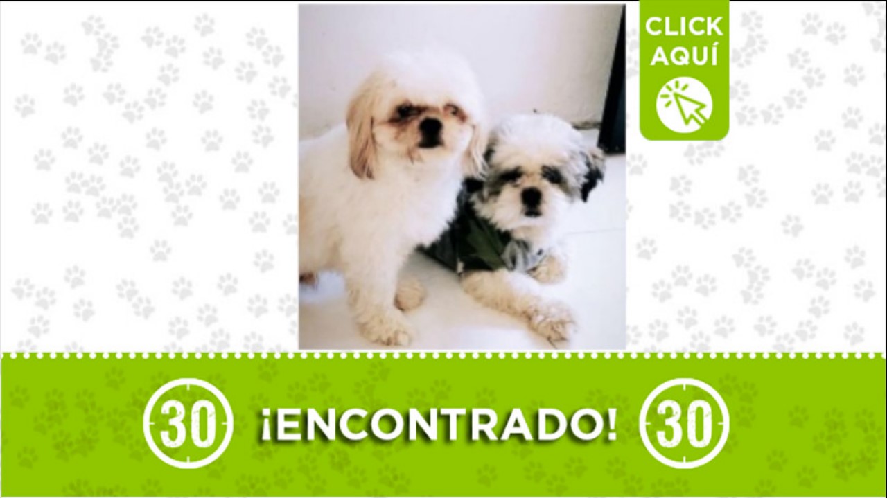 “Max” y “Coqui” se perdieron en Robledo