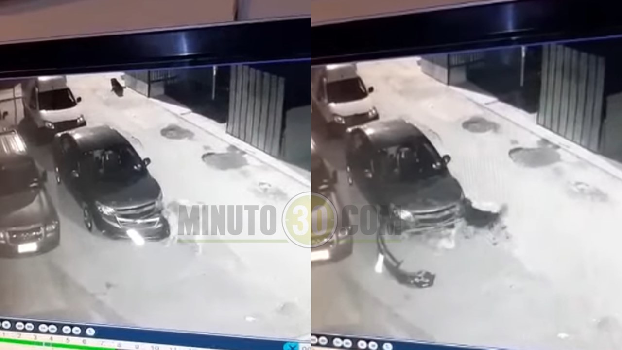 perros destrozan carro