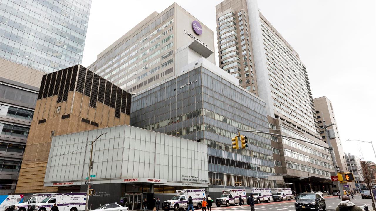 ¡Revolucionario! Trasplantan con éxito corazones de cerdo modificados a humanos fallecidos