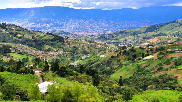 árboles - Corregimiento de San Cristóbal