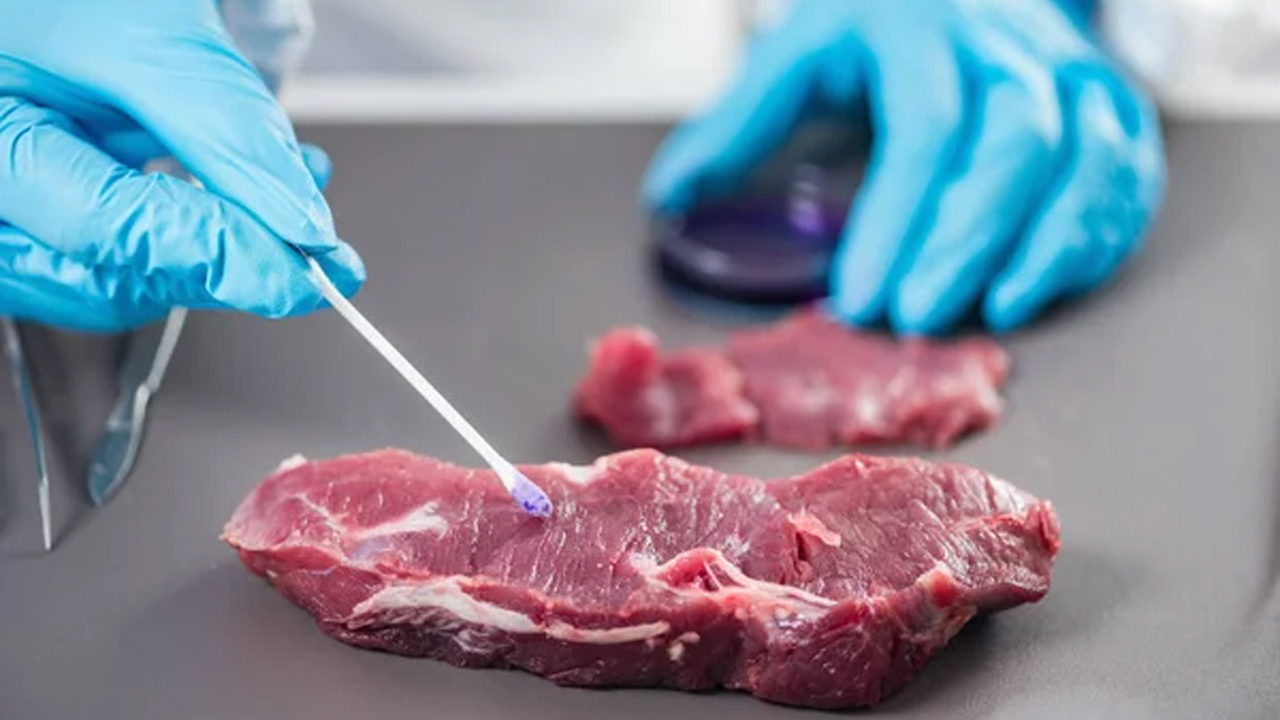 Carne de caballo a niños en La Ceja: ¿La culpa es de otro?