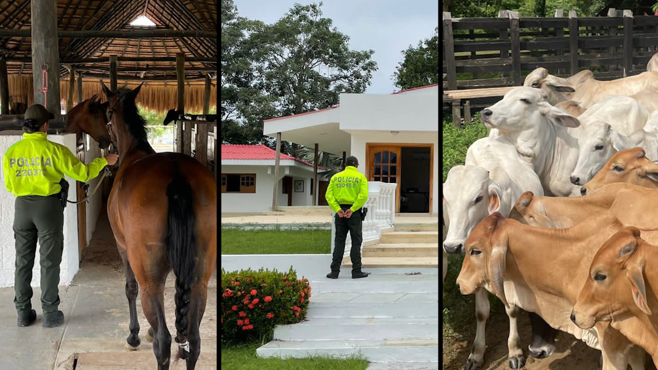 [Fotos] Les quitaron unas 'finquitas' al 'Clan del Golfo' en Medellín