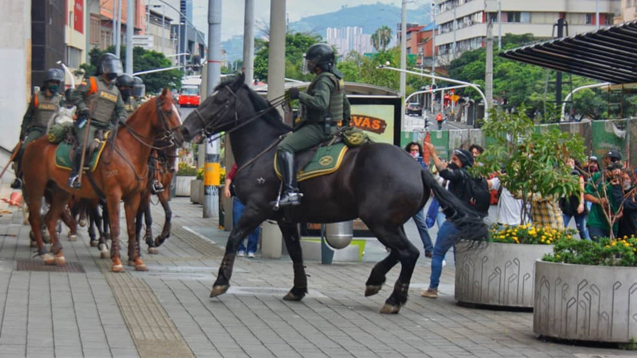 Utilización de animales en protestas sociales