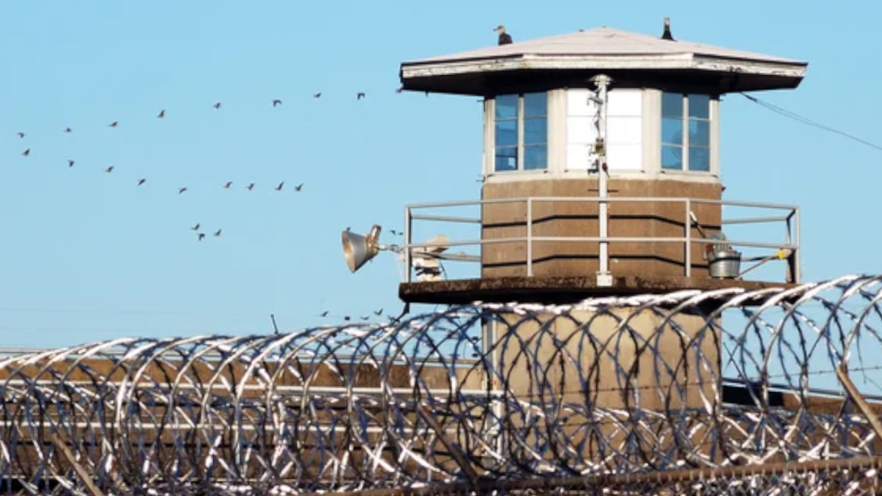 276 extraditables se suman a la paz total para no ser extraditados a EE. UU