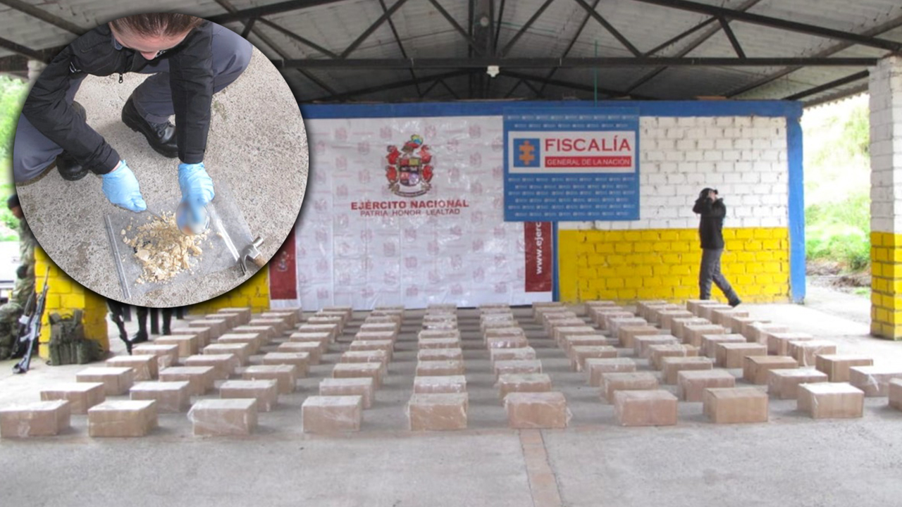 [Video] En cajas de atún pretendían enviar cocaína a Europa