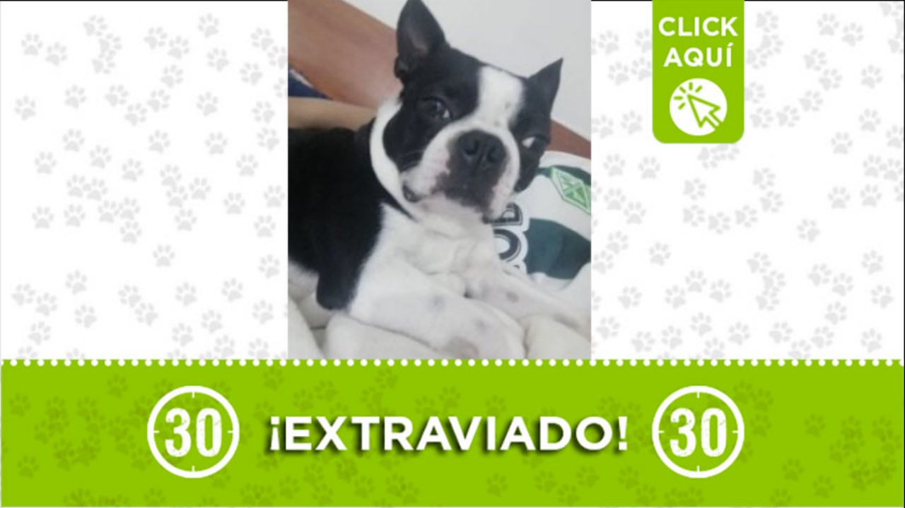 “Nerón” se perdió en Belén