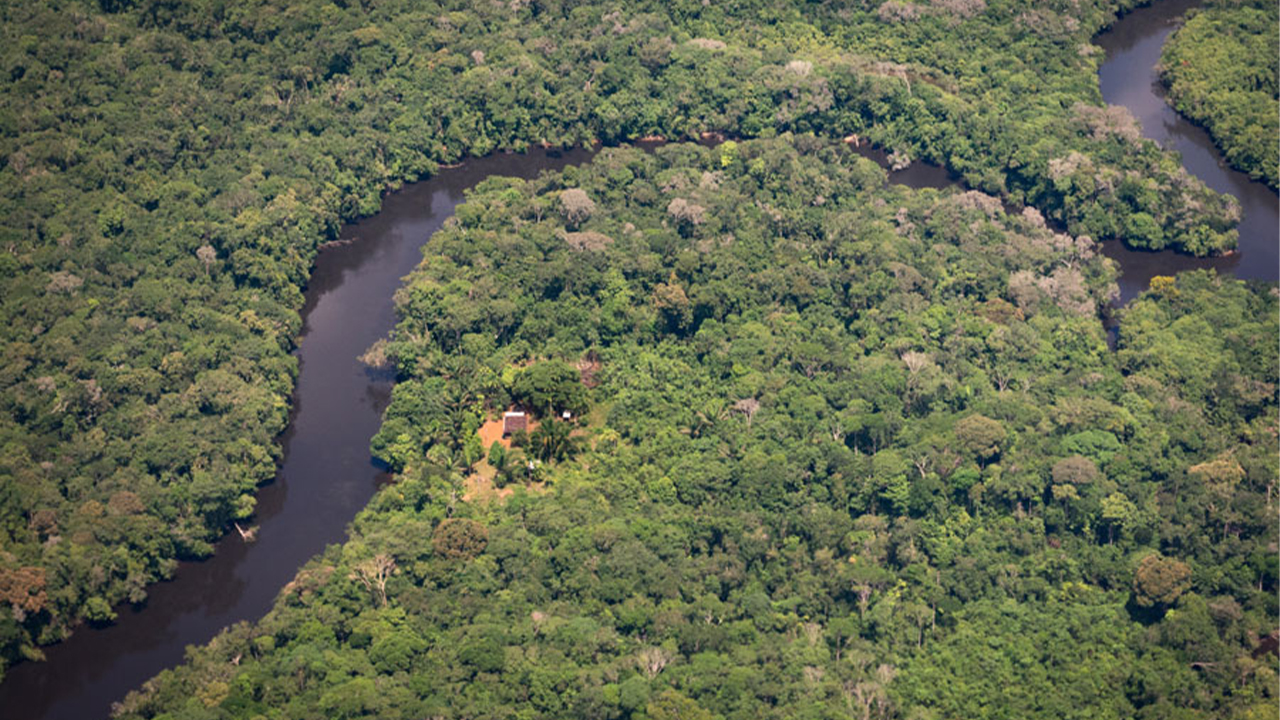 deforestación Amazonía