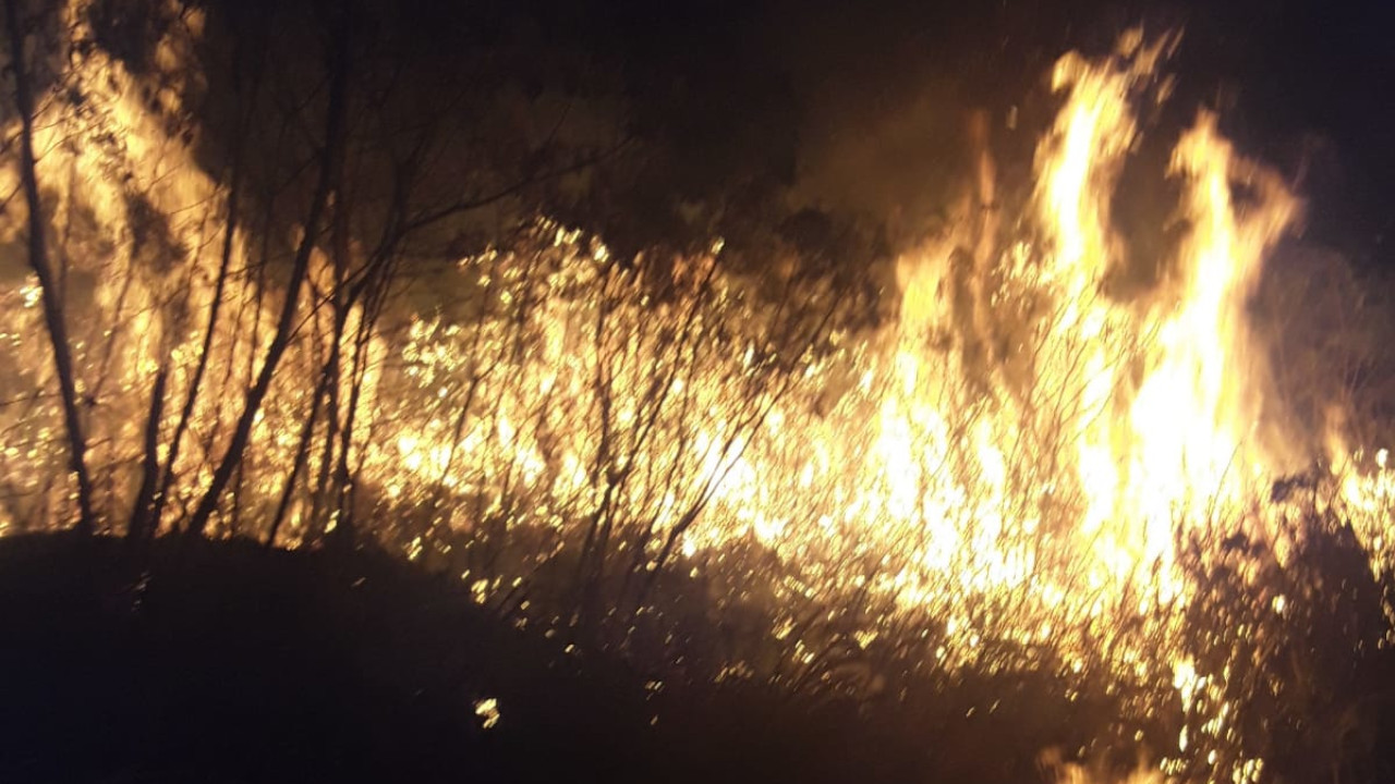 Fuerte incendio forestal en Cali