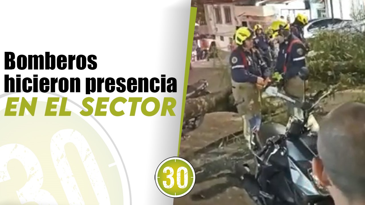 accidente arbol campo valdes