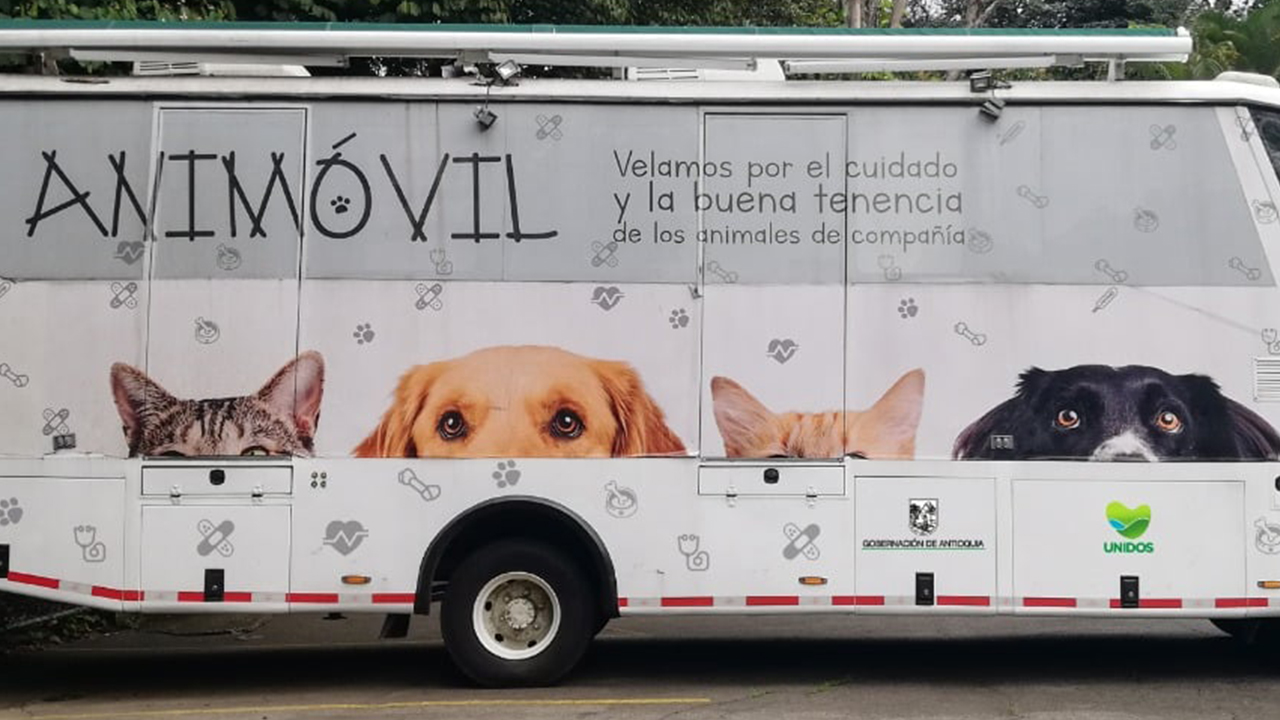 Animóvil en el 2020