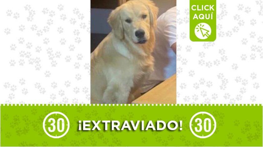 “Milan” se perdió en Rionegro