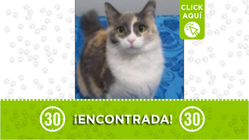 “Saory” se perdió en La Tablaza