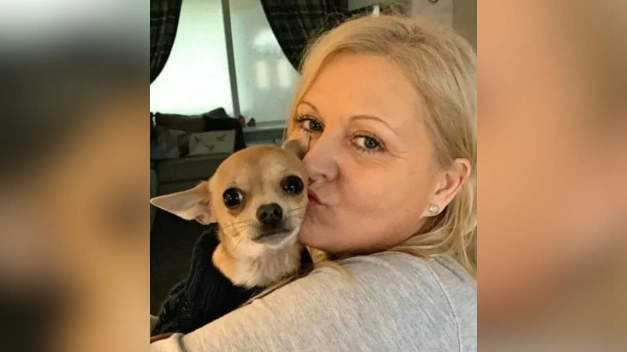 Chihuahua con diarrea defecó en la boca de su dueña mientras dormía