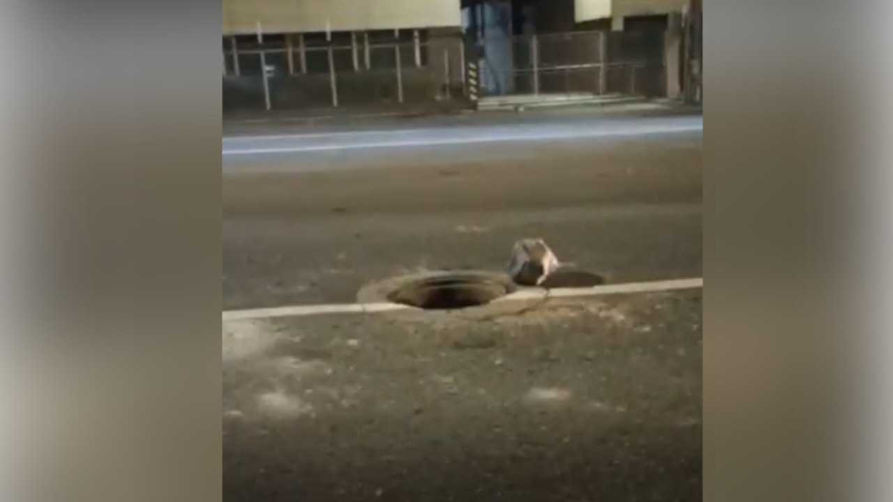 ¡Tenga cuidado!: Alcantarilla sin tapa a punto de convertirse en una tragedia en la Autopista Sur