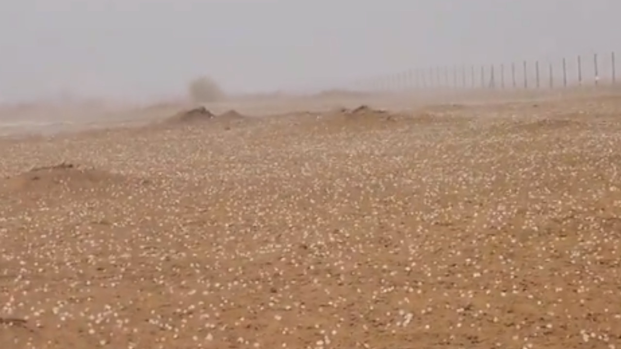 [VIDEO] ¡Desastre ambiental! Granizo cayó en el desierto de Emiratos Árabes