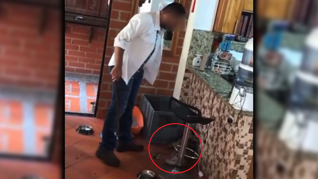 [Video] ¡Indignante! Grabaron a un sujeto dándole patadas a un perrito, sucedió en Sabaneta