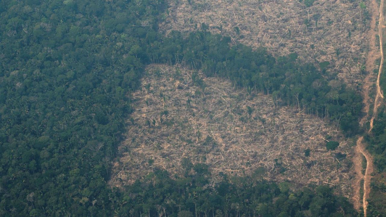 deforestacion amazonia