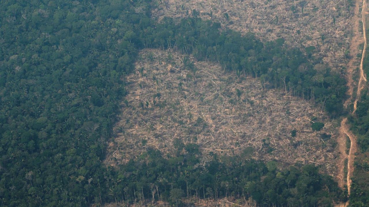 Vista aérea de áreas deforestadas de la selva amazónica de Porto Velh