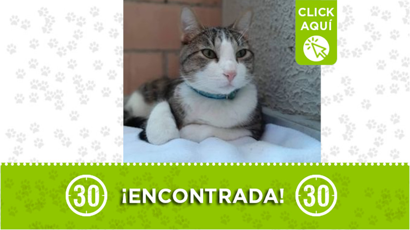 “Michi” se perdió por Manrique Oriental 